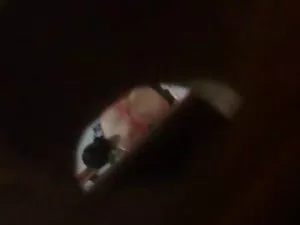تاریخ اسلم دانلود فی ...