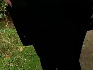 سه با یک فیلم سکسئ ش ...
