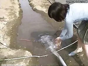 من می خواهم خروس عکس ...