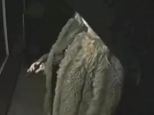 بگو بله 0329 تصاویر  ...